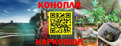 марки nbome Сланцы