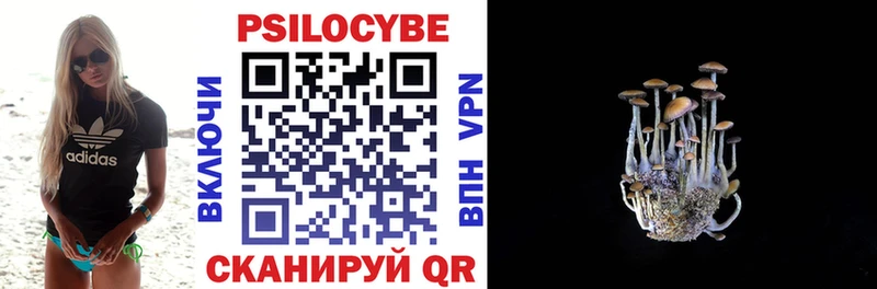закладка  нарко площадка какой сайт  Галлюциногенные грибы Psilocybe  Советская Гавань 