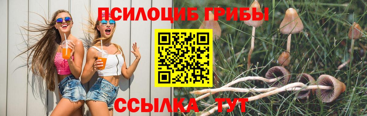 Псилоцибиновые грибы мицелий Советская Гавань