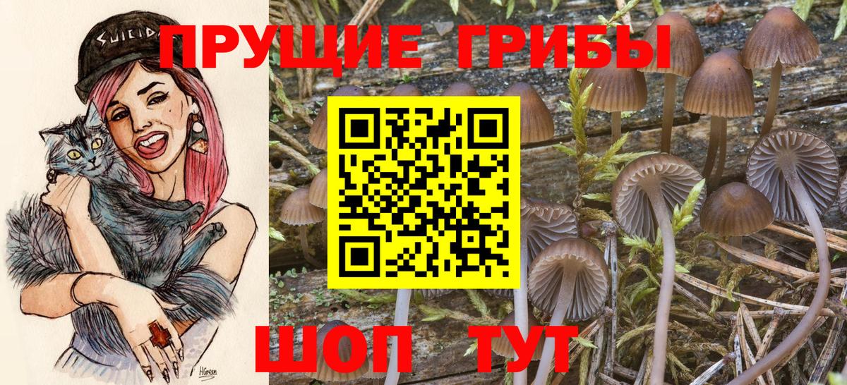 Галлюциногенные грибы Cubensis  Псилоцибиновые грибы Psilocybine cubensis  наркота  Вход с VPN  Советская Гавань 
